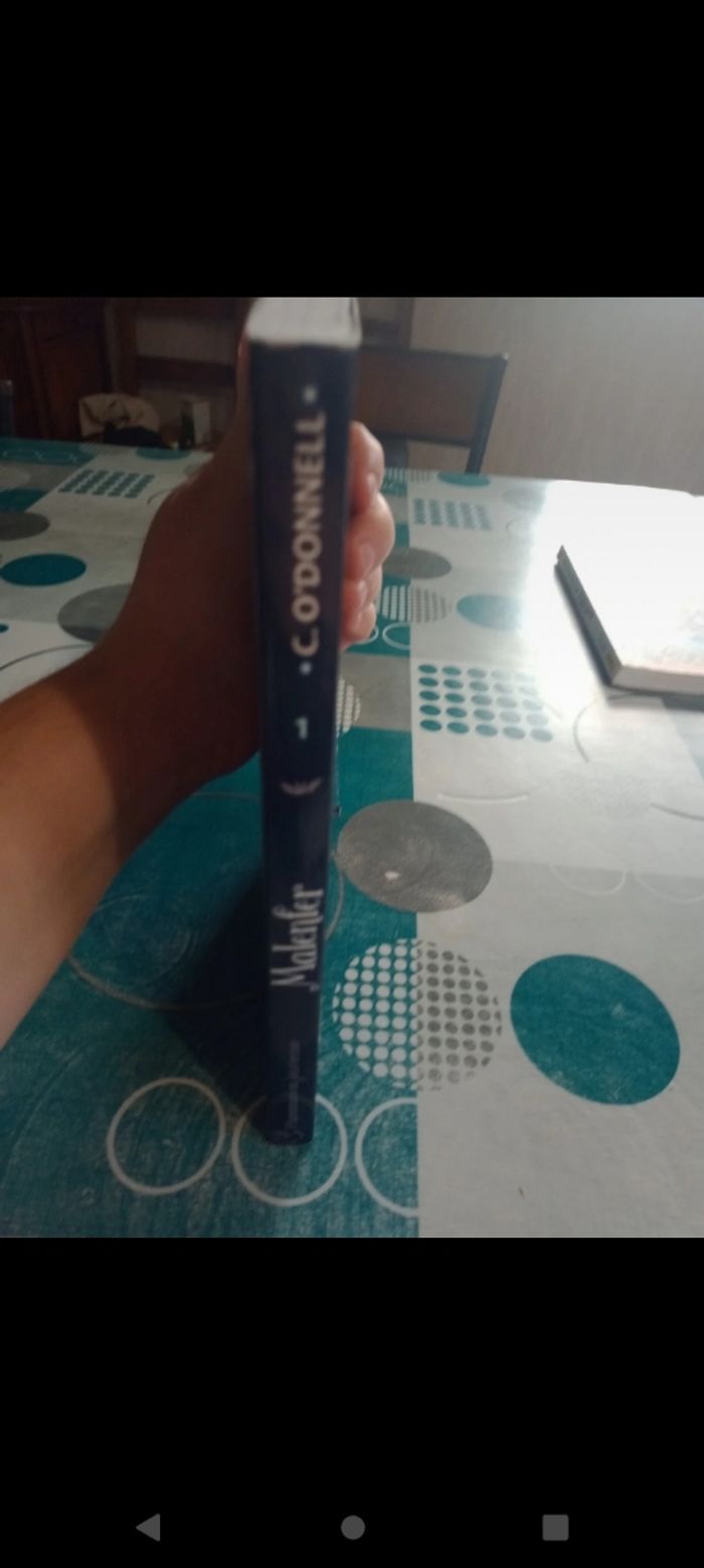 Livre Malenfer tome 1 - photo numéro 3