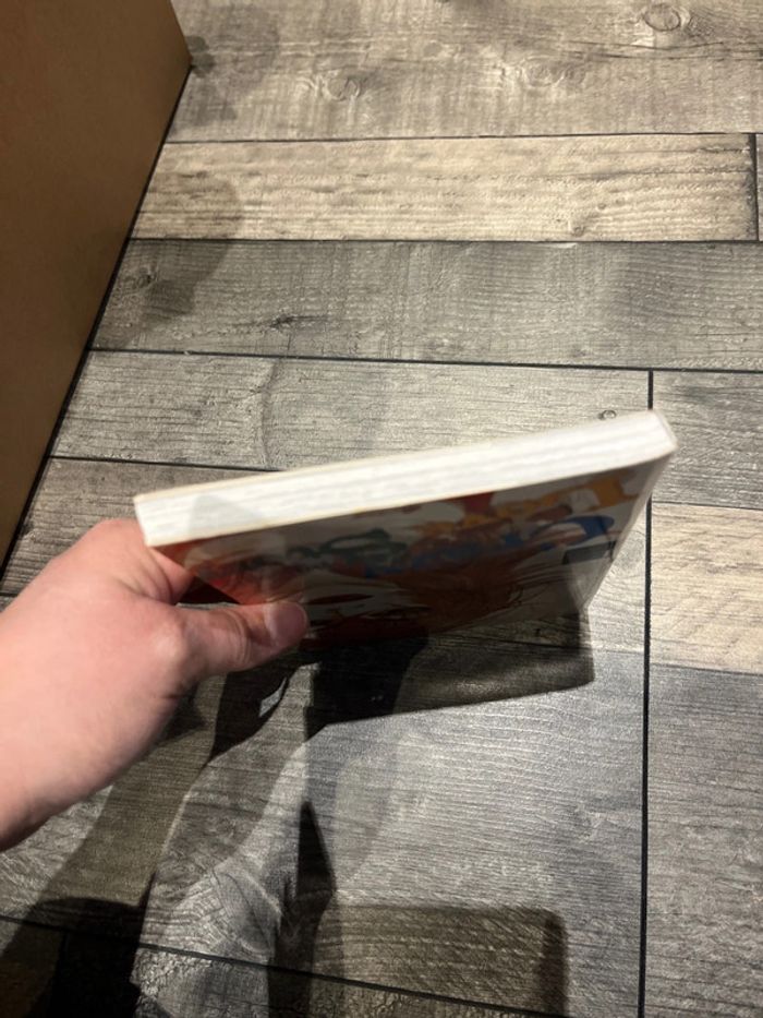 Manga - photo numéro 4