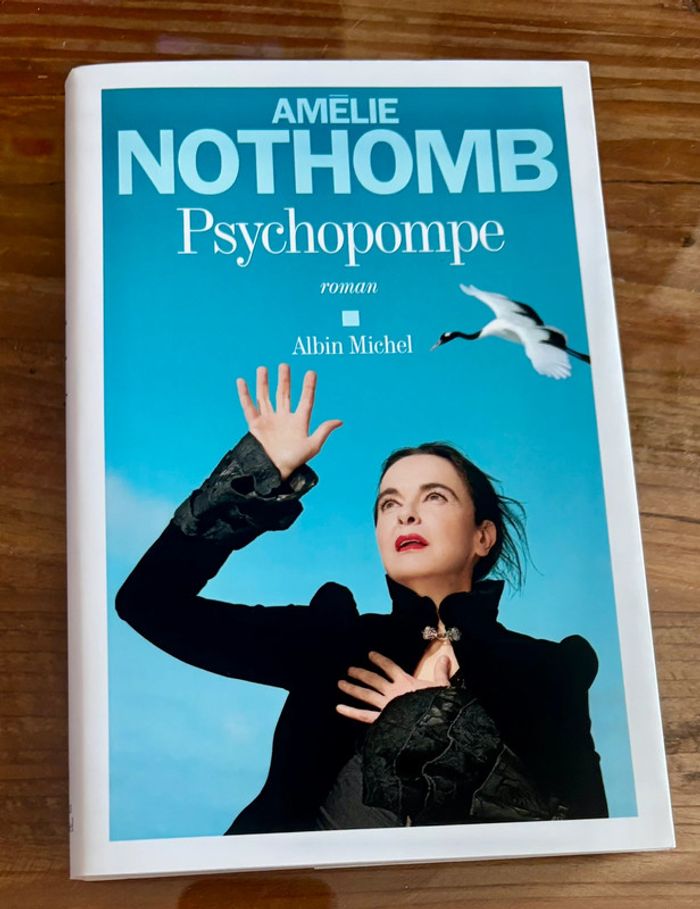 Lot 5 livres Amélie Nothomb - photo numéro 13