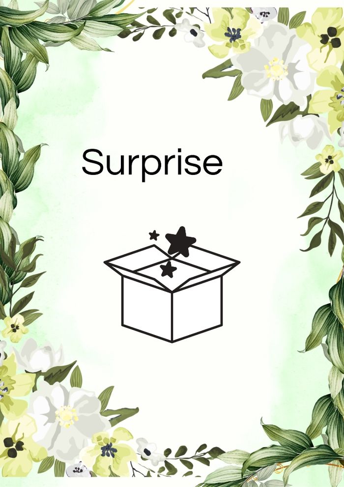 Colis surprise