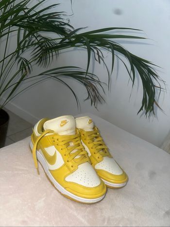Nike dunk low