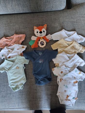 Body manches courtes