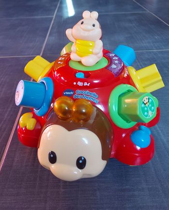 Coccinelle des formes