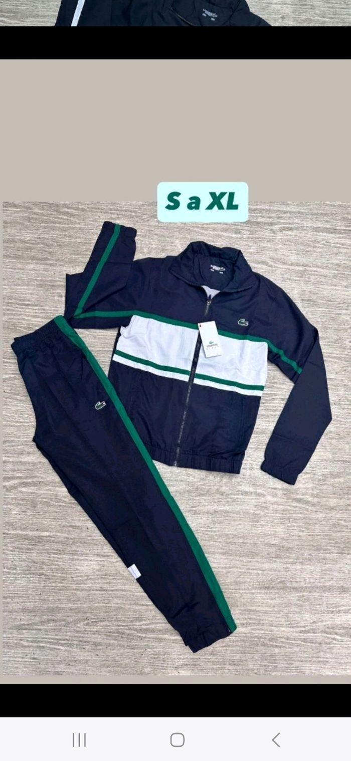 Ensemble lacoste - photo numéro 7