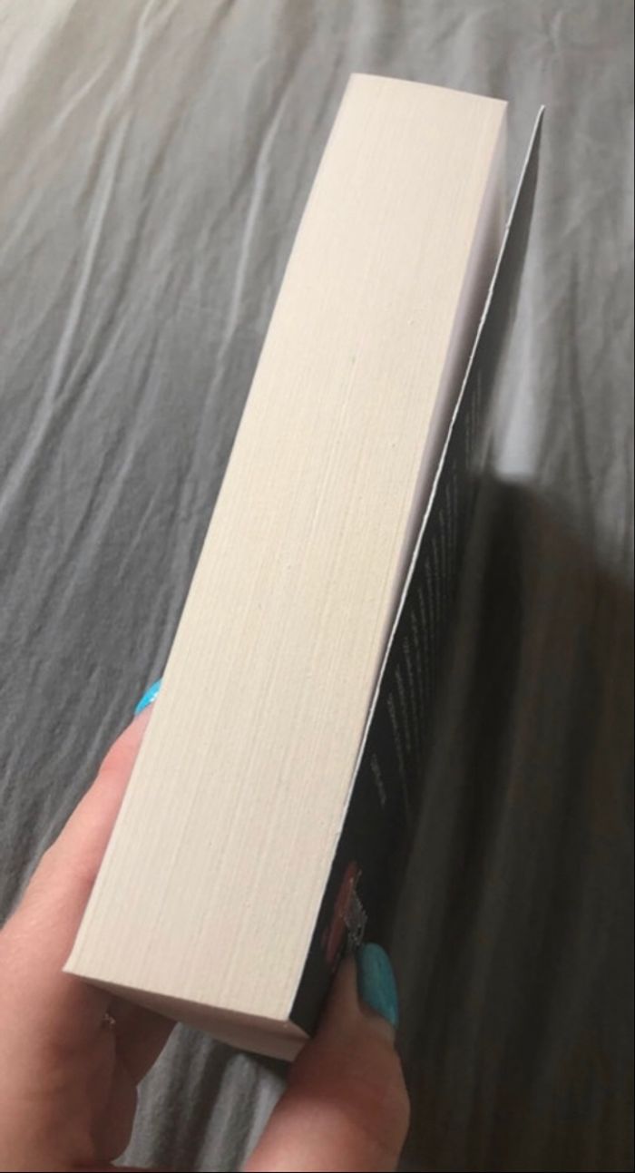 The devil’s sons tome 1 - photo numéro 4