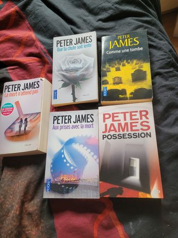 Livres de poche Peter James
