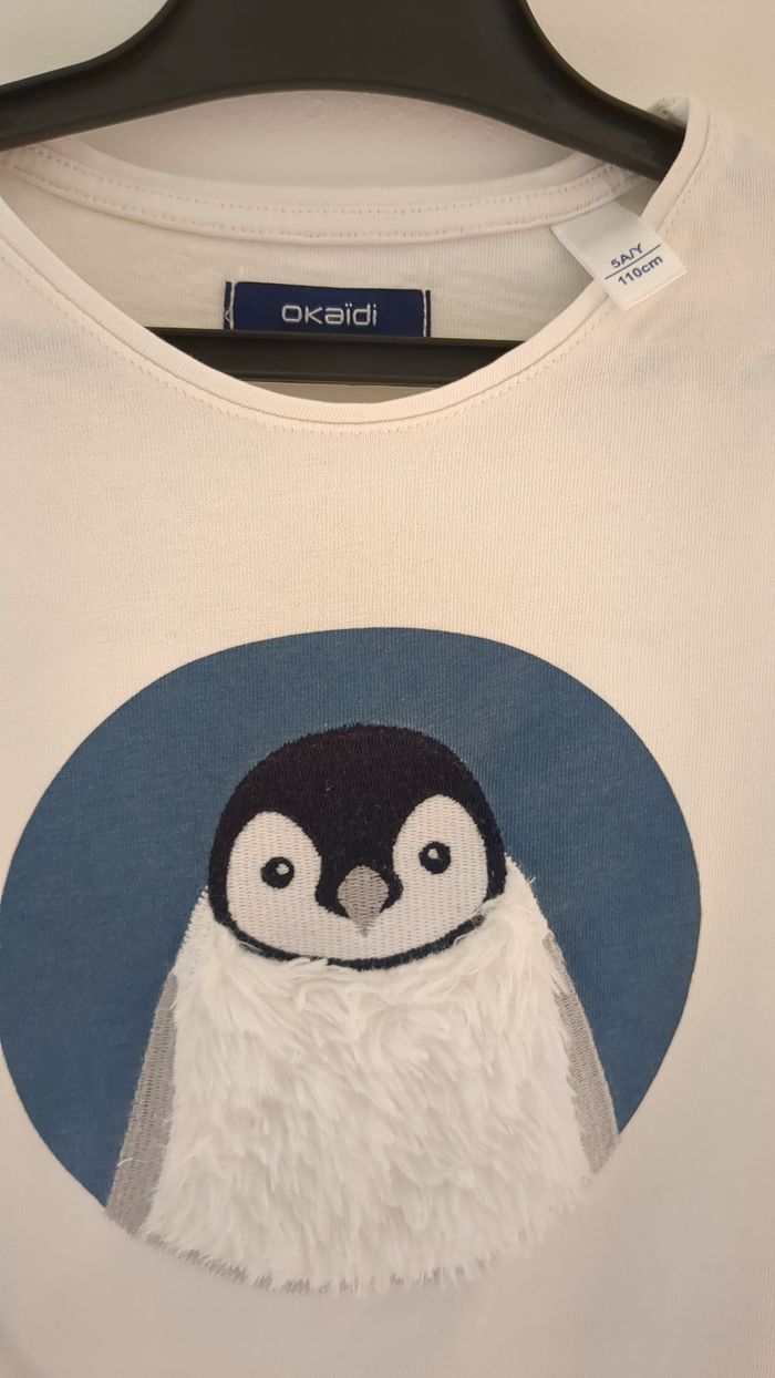 T-shirt manches longues manchot Okaïdi 5 ans - photo numéro 2