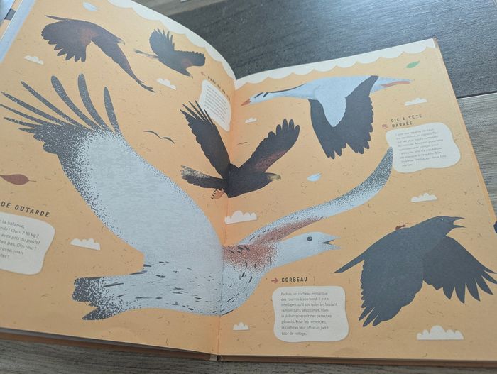 Grand livre comme un oiseau avec dragon et autres espèces volantes ou imaginaires - photo numéro 2