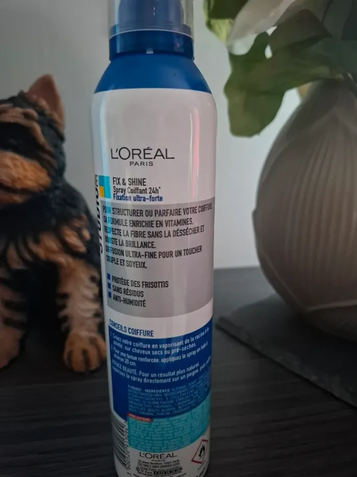 Laque L'Oréal - photo numéro 2