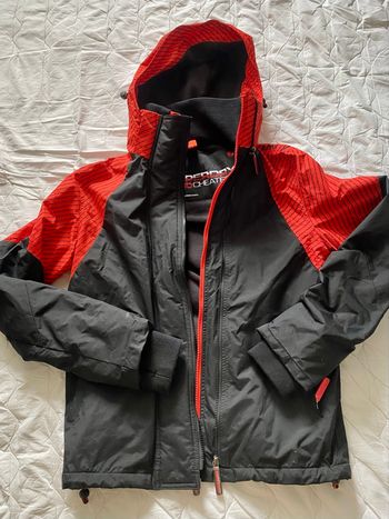 Manteau SUPERDRY