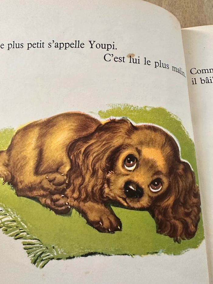 1956 - Les albums roses livre vintage très ancien Youpi cocker Pierre Probst Caroline jaune - photo numéro 10