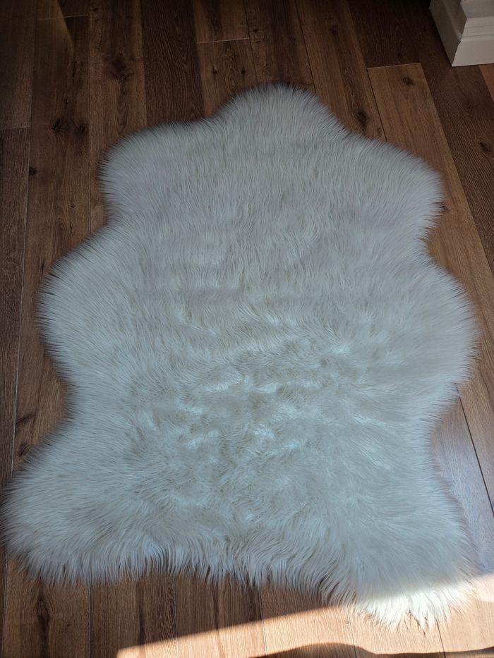 Tapis - photo numéro 2