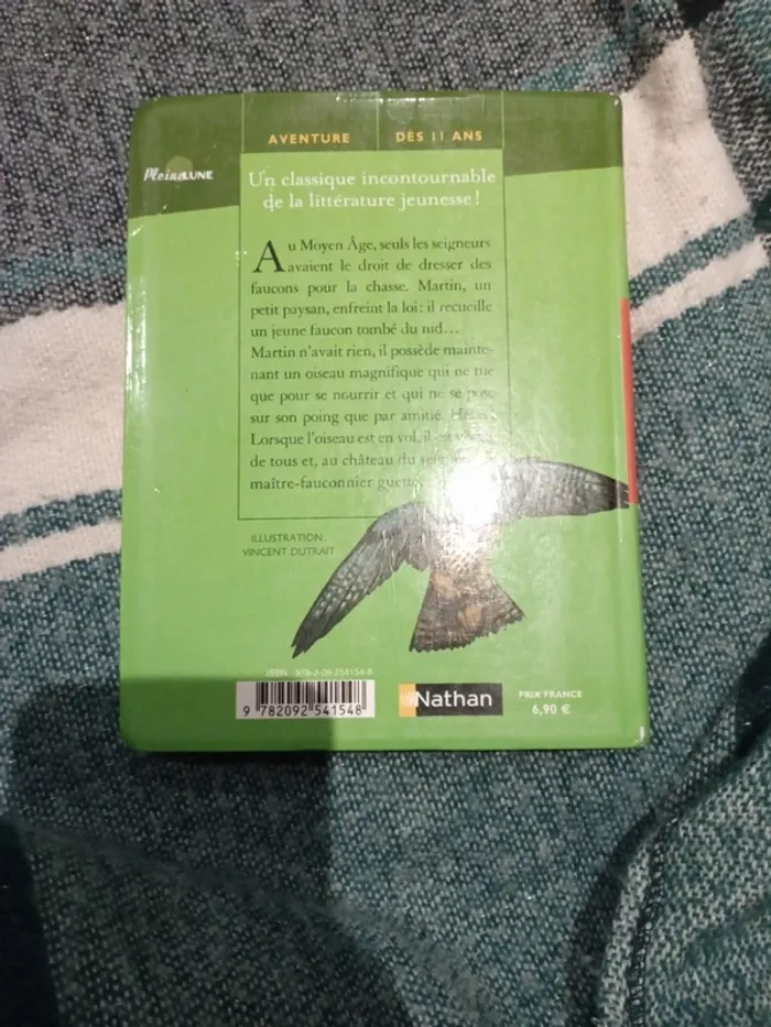 Le faucon deniche - photo numéro 2