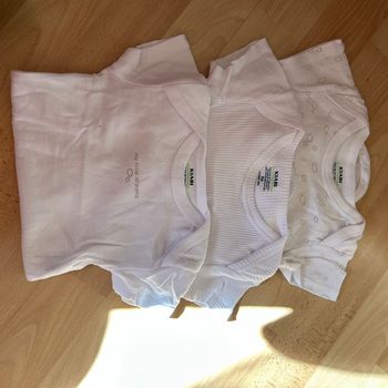 Lot 3 bodys  9 mois
