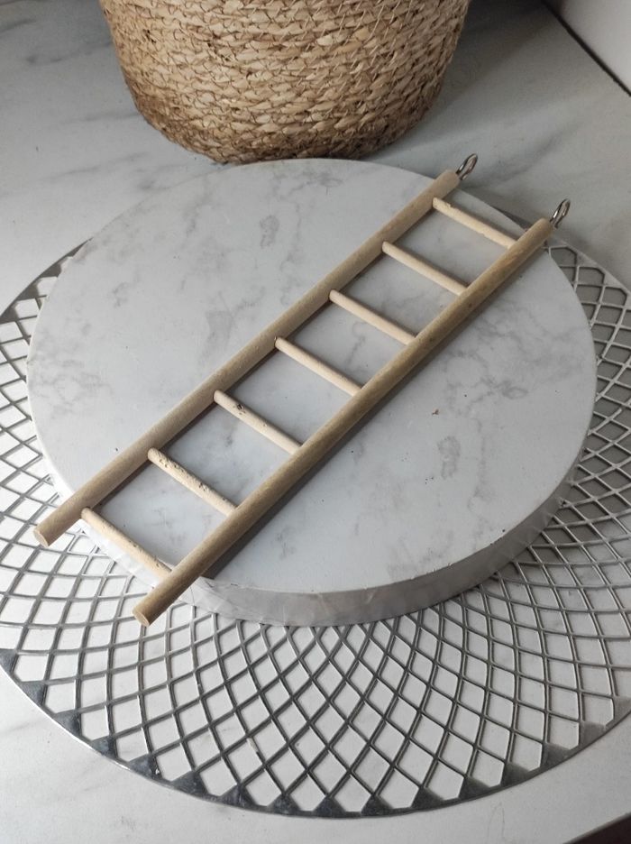 Échelle pour oiseaux