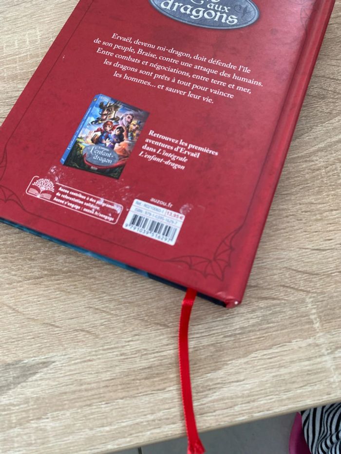 Livre roman, enfants, l’intégrale, l’île au dragon, Eric D’avoisinant  et Jérémie Fleury - photo numéro 5