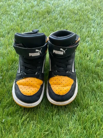 Basket puma