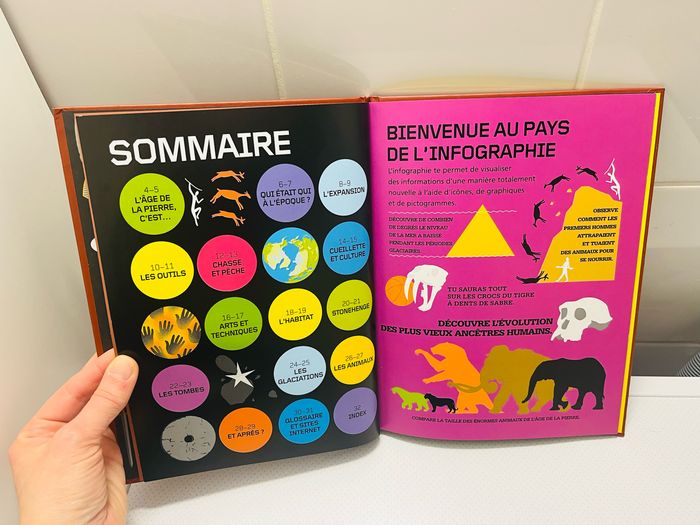 L’âge de Pierre - photo numéro 5