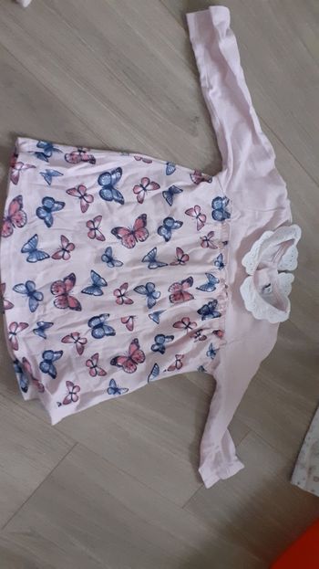 Haut papillon