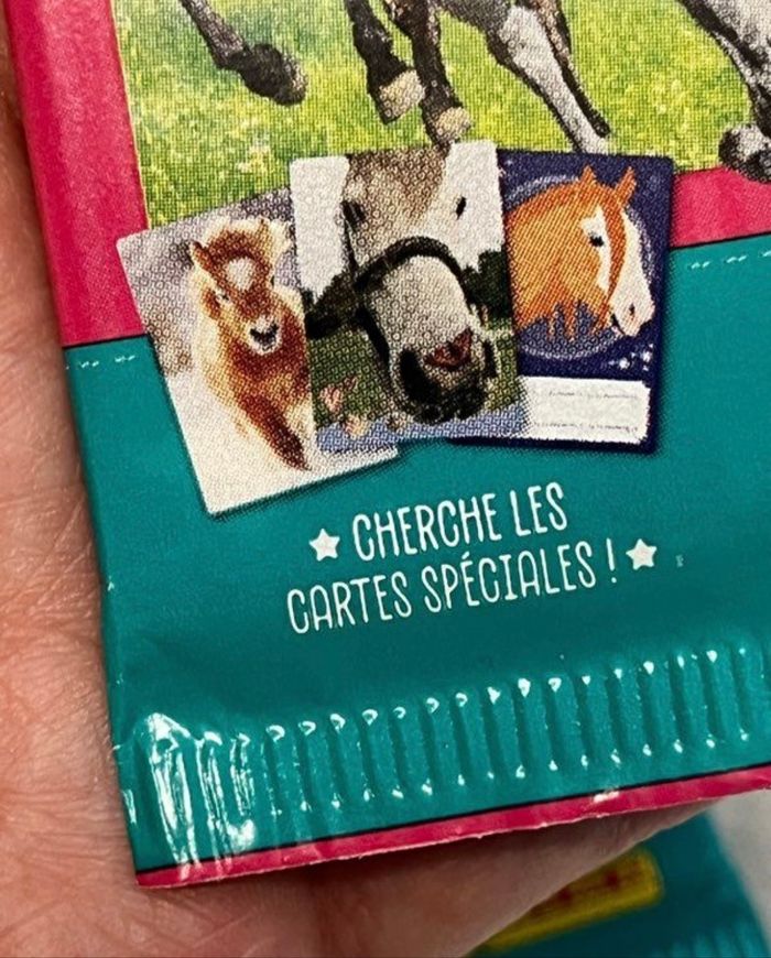 10 pochettes Cartes à collectionner panini MERVEILLEUX CHEVAUX 🐎 neuve - photo numéro 6