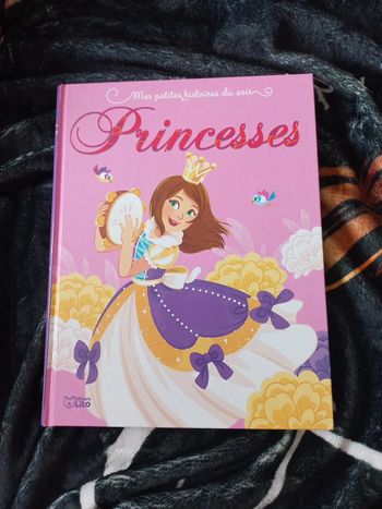 Livre Histoires du soir neuf Princesses