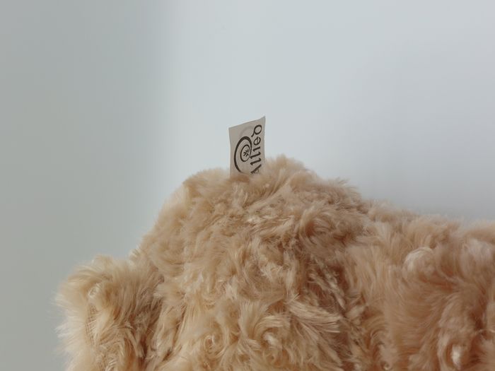 Peluche doudou ours beige caramel ALLIED Dublin Irlande trèfle bonnet vert TBE - photo numéro 5