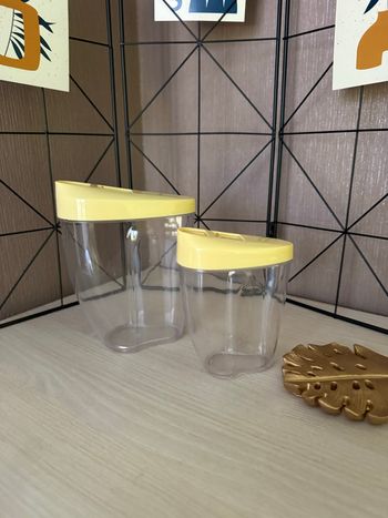 Lot de 2 boîtes de conservation