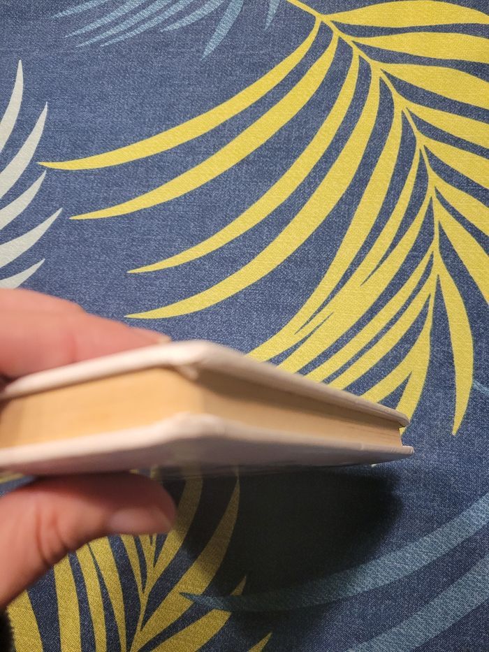 Livre p'tit mickey vétérinaire disney - photo numéro 10