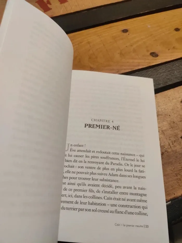 Histoires de la Bible : Caïn Le premier meurtre - photo numéro 8