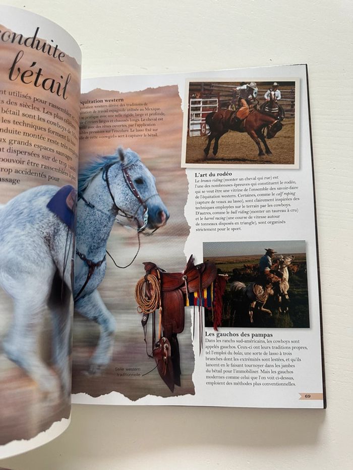 Encyclopédie du poney et du cheval - photo numéro 2