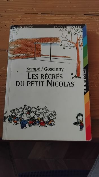 Les recres du petit Nicolas 