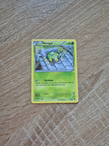 Mimigal Origines Antiques 