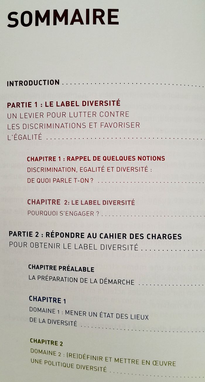 Anissa Djabi - le Label diversité - photo numéro 5