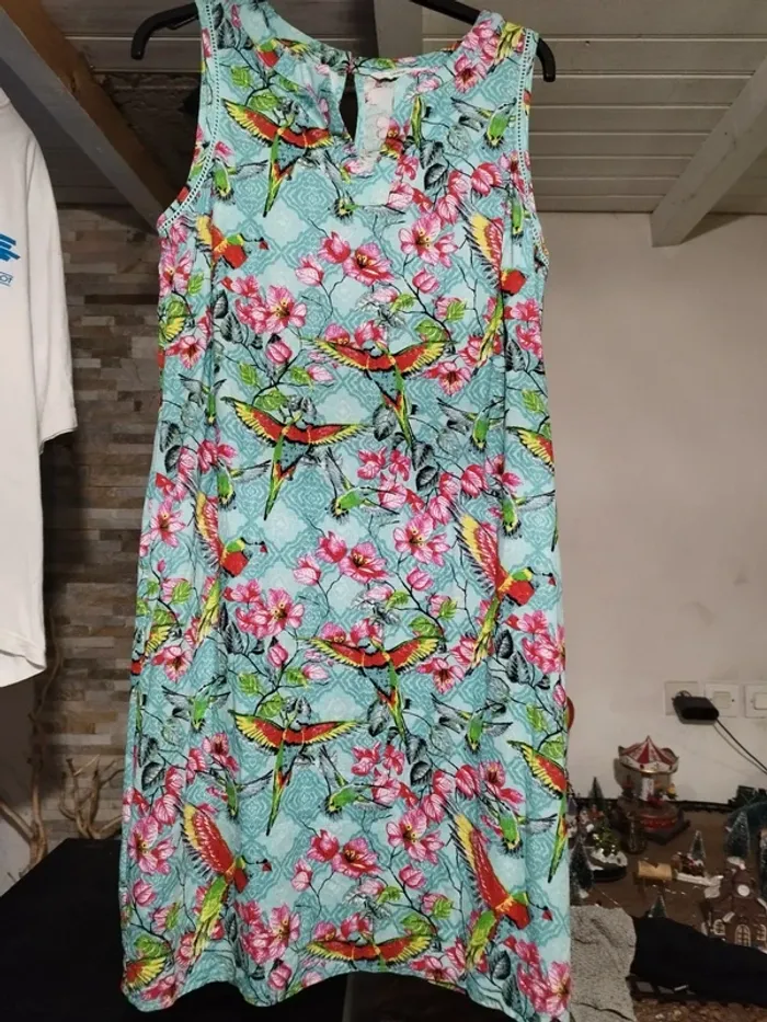 Robe perroquet - photo numéro 2