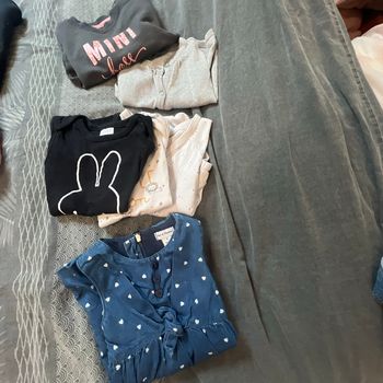 Lots de vêtements bébé fille