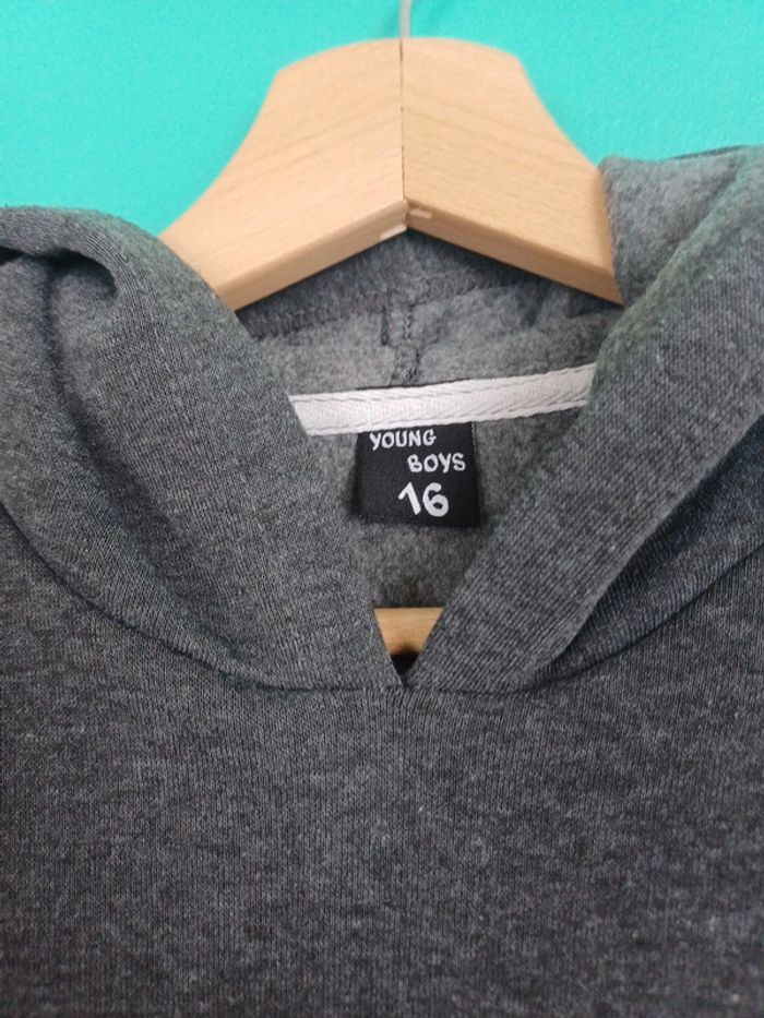 Pull/sweat a capuche garçon - photo numéro 3