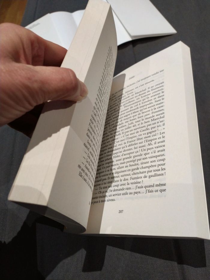 D'où vient l'amour d'Yann Queffelec - photo numéro 7