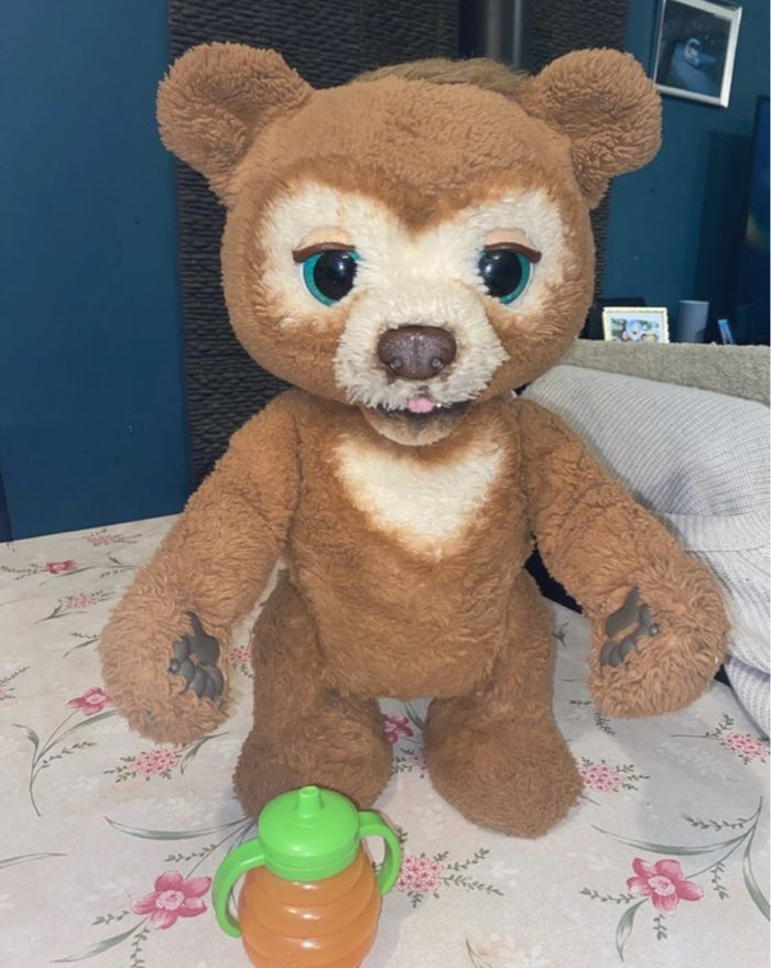 Cubby l’ours curieux