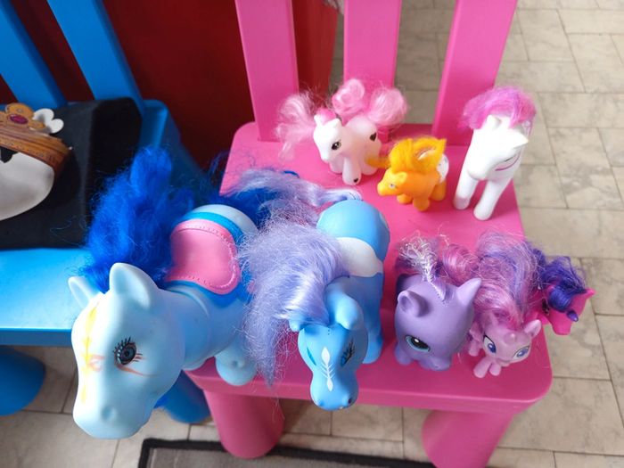 Lot poneys - photo numéro 3
