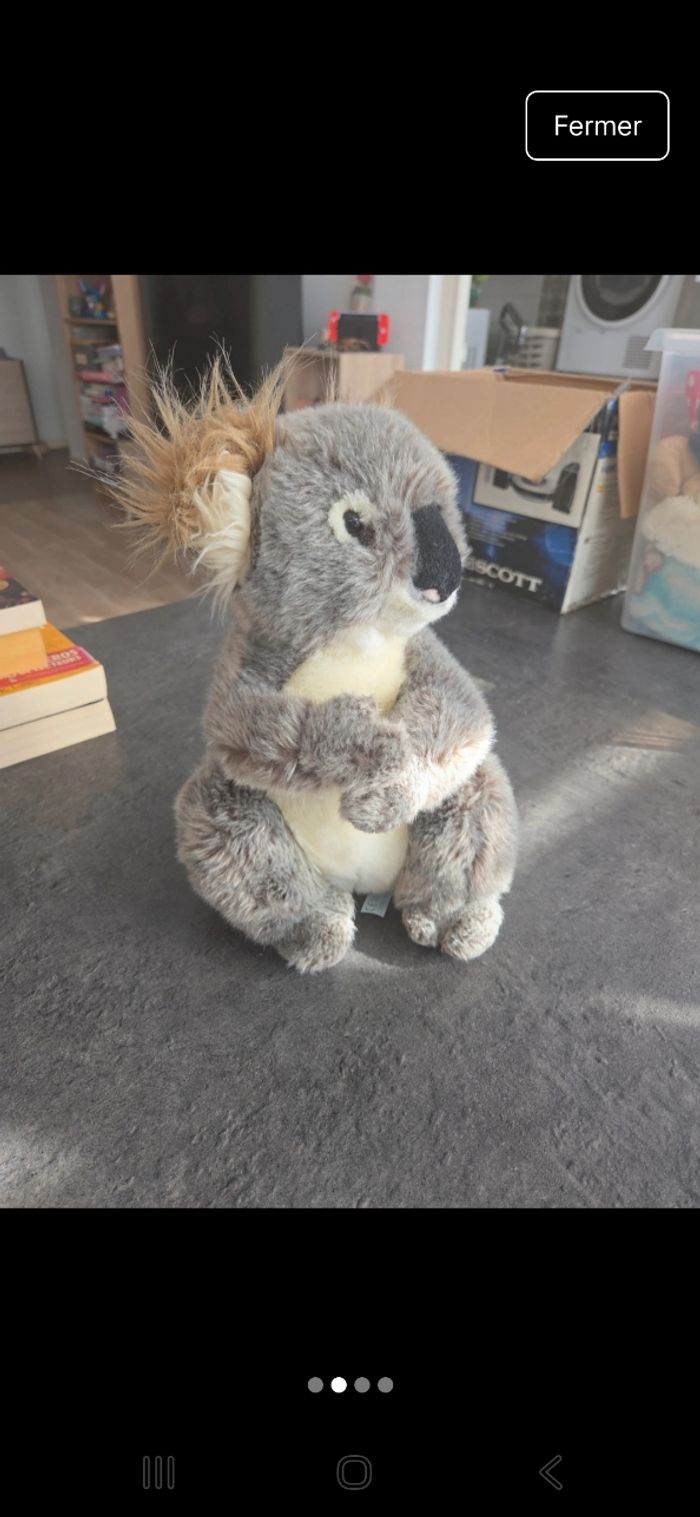 Koala - photo numéro 2