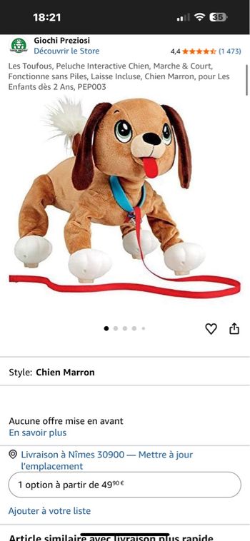 Toufou le chien qui marche sans pile