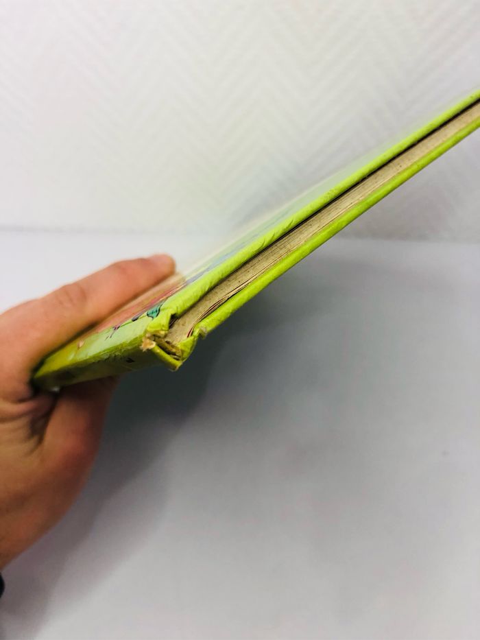 Chlorophylle et les conspirateurs tome 1 - photo numéro 5