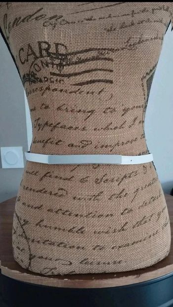 Petite  ceinture  blanche  plaque  argenté