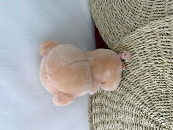 « Piggley » le cochon de Ty Beanie Boo - photo numéro 3