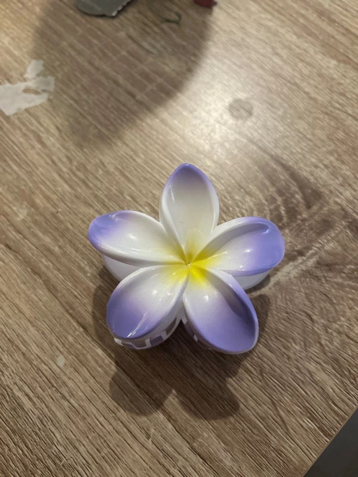 Pinces à cheveux