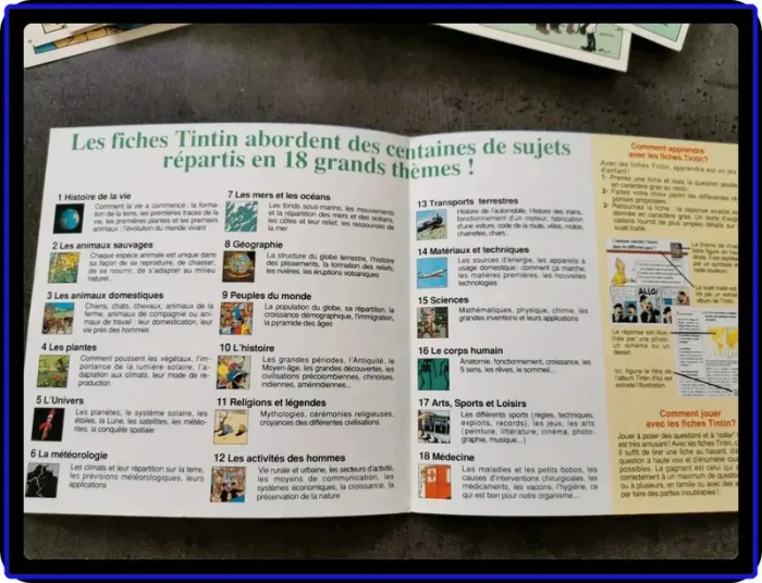 Fiches Tintin - photo numéro 4