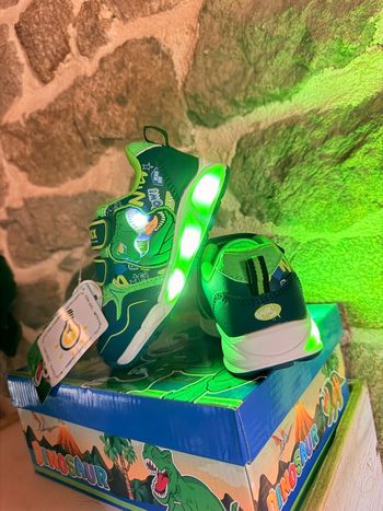 Basket dinosaures lumière T30