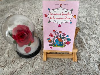Livre les cœurs fragiles de la maison bleue