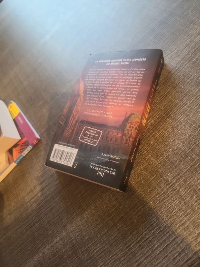 Livre Neo la chute du soleil de fer - photo numéro 3