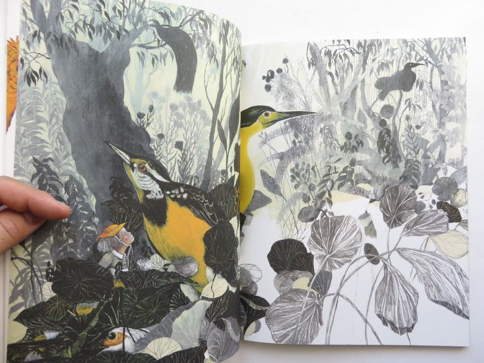 Album 7 à 11 ans : La volière dorée. (Anna Castagnoli - L'école des loisirs) - photo numéro 6